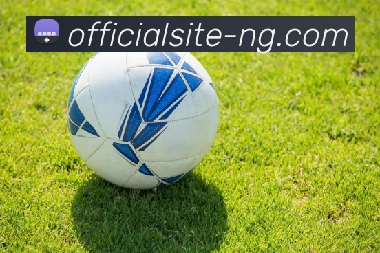 NG电子游戏平台生态图